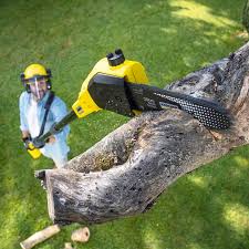 Best Aeration Services  in Banning, CA